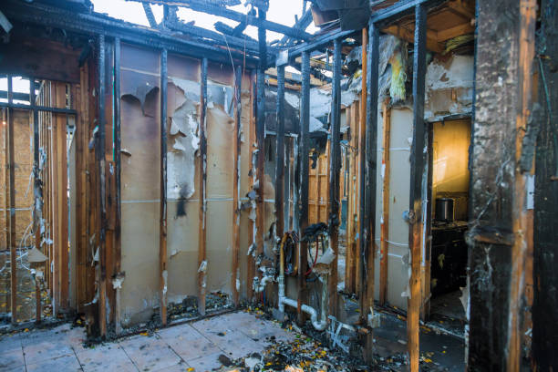 Professional Fire Damage Repair technician working in Medina, WA